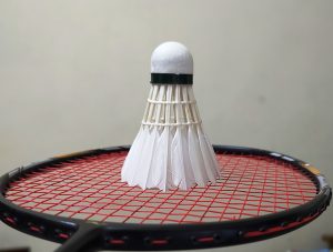 Feather Shuttlecock and racquet